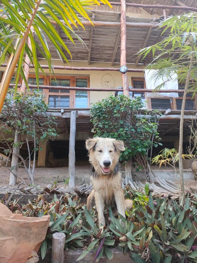 Casa Surf Lodge - Praia do Tofo 外观 照片