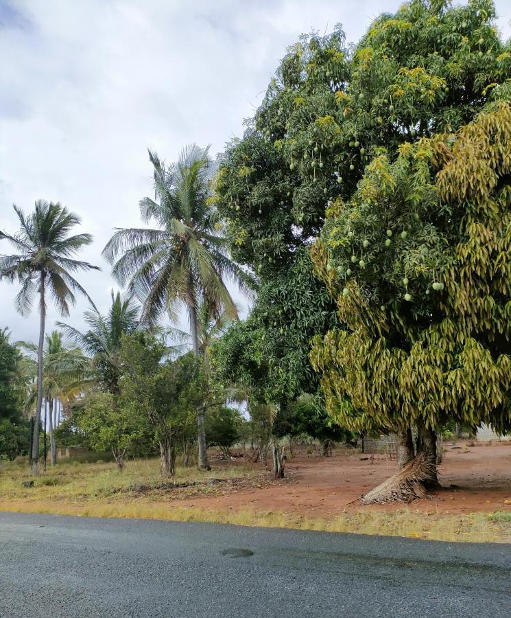 Casa Surf Lodge - Praia do Tofo 外观 照片
